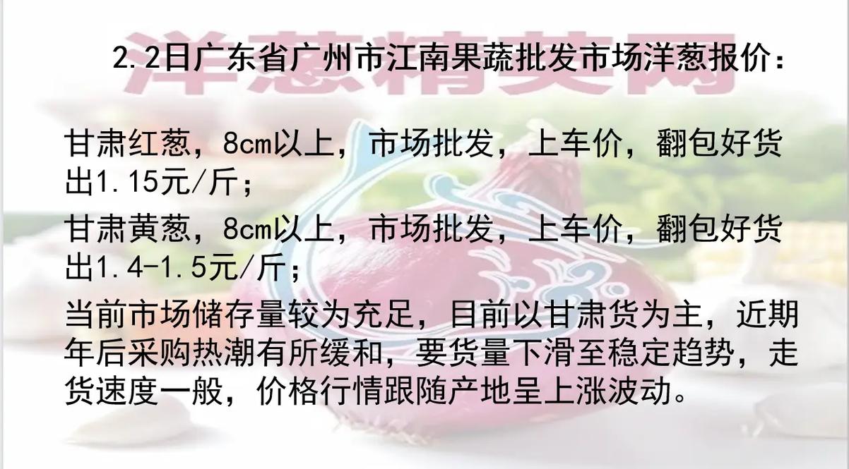 今日洋葱价格行情揭秘，一场寻找内心平静的洋葱之旅。
